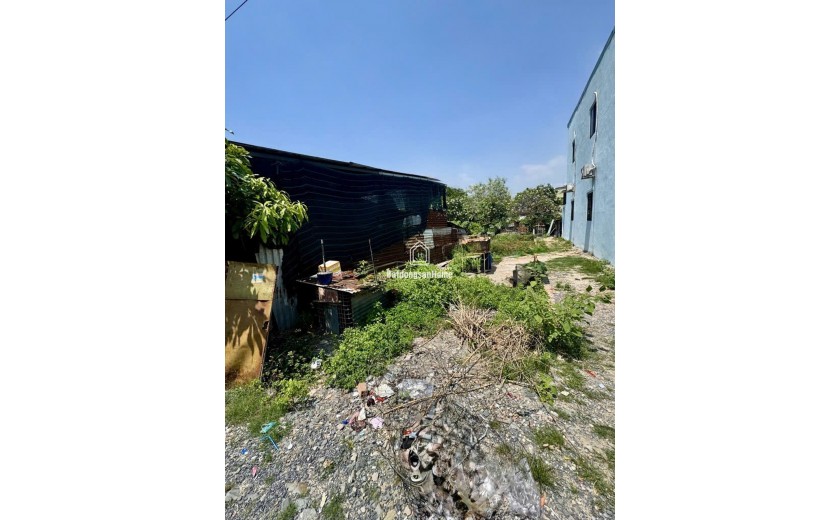 Đất Vuông SHR 100m2 – Huỳnh Thị Mài Hóc Môn S